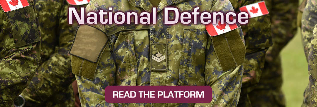 Defence Platform
